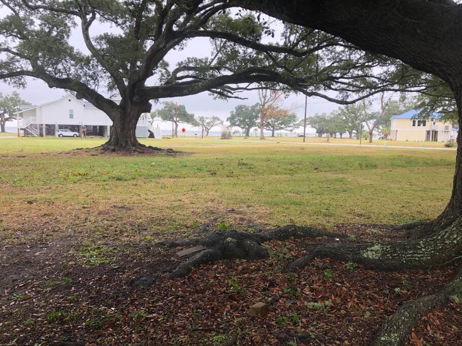 Shady Oaks Beach House With Beautiful Ocean Views! Gulfport Extérieur photo